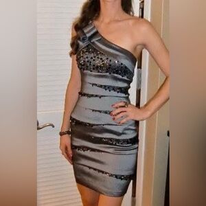 Cache silver formal dress